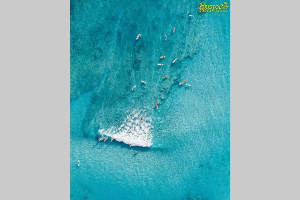 B-Rent Bristol Beach Surf & Fun Corralejo Exterior photo